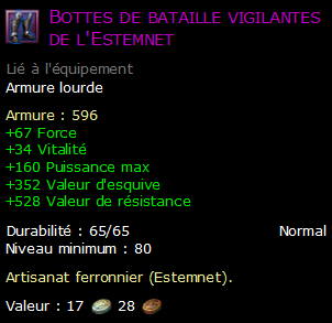 Bottes de bataille vigilantes de l'Estemnet