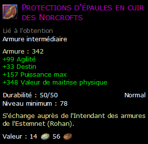 Protections d'épaules en cuir des Norcrofts