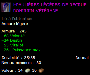 Epaulières légères de recrue rohirrim vétérane