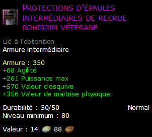 Protections d'épaules intermédiaires de recrue rohirrim vétérane