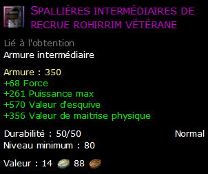 Spallières intermédiaires de recrue rohirrim vétérane