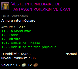 Veste intermédiaire de fantassin rohirrim vétéran