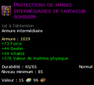 Protections de jambes intermédiaires de fantassin rohirrim