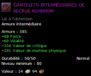 Gantelets intermédiaires de recrue rohirrim