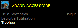 Grand accessoire