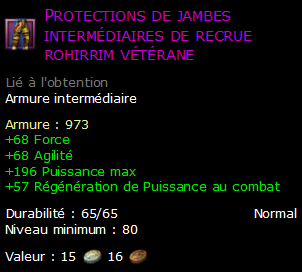 Protections de jambes intermédiaires de recrue rohirrim vétérane