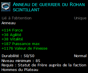 Anneau de guerrier du Rohan scintillant