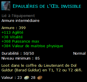 Epaulières de l'Œil invisible