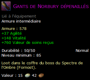 Gants de Norbury dépenaillés