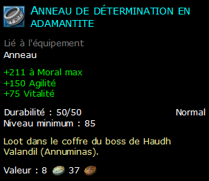 Anneau de détermination en adamantite