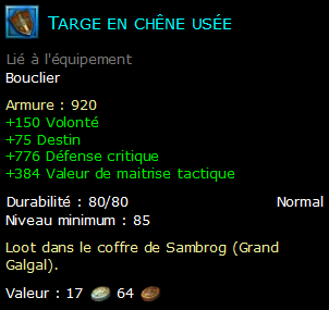 Targe en chêne usée